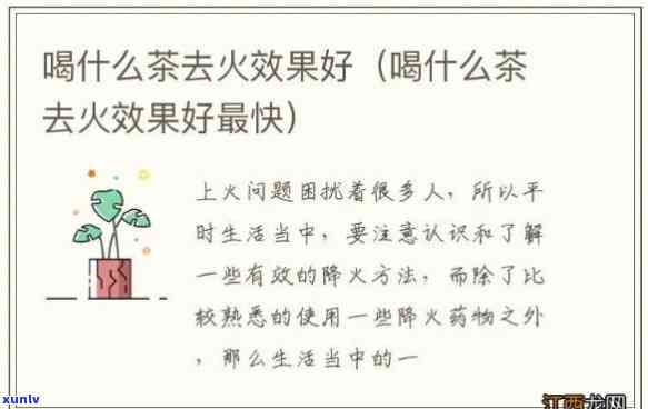 上火喝什么茶去火效果好？全面解答！