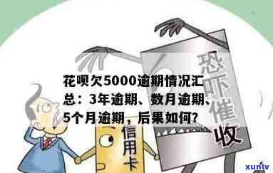 龙珠是普洱熟茶还是生茶？探讨其品种、价格与特点