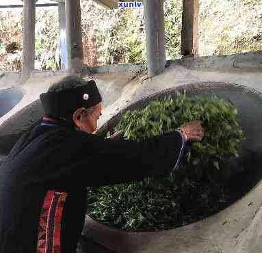 野生木茶是什么茶叶做的，探秘野生木茶：了解这种独特茶叶的 *** 过程与特点