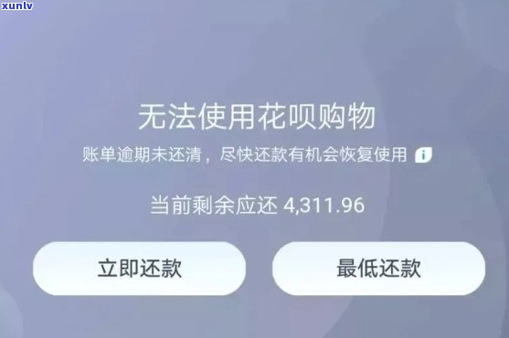 花呗欠50000逾期2月会怎么样吗，警惕！花呗欠款50000元逾期两个月可能带来的后果