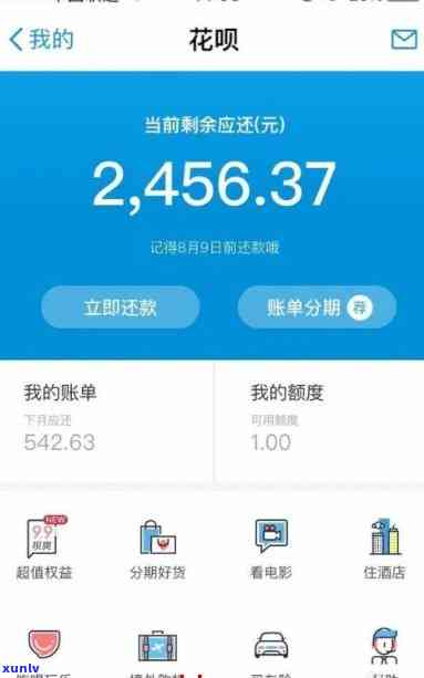 花呗欠款2万逾期5个月，会被起诉吗？