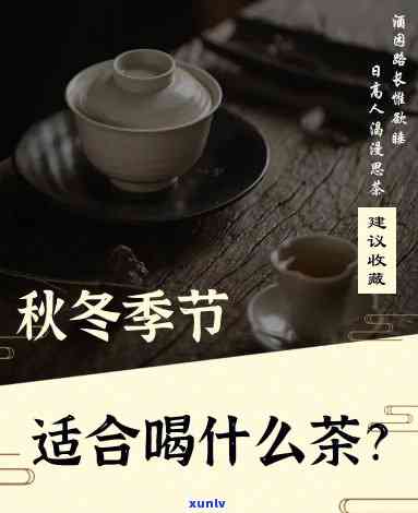 冬天适宜饮用什么茶叶？解析冬茶饮选择