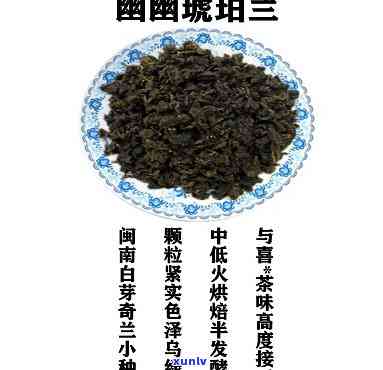 琥珀兰茶的功效与作用，探秘琥珀兰茶的神奇功效与作用，你不可不知的秘密！