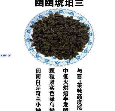 琥珀兰茶属于什么茶-琥珀兰茶属于什么茶类