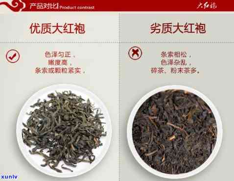 大家红袍属于什么茶种，探秘茶叶世界：了解大家红袍的茶种归属