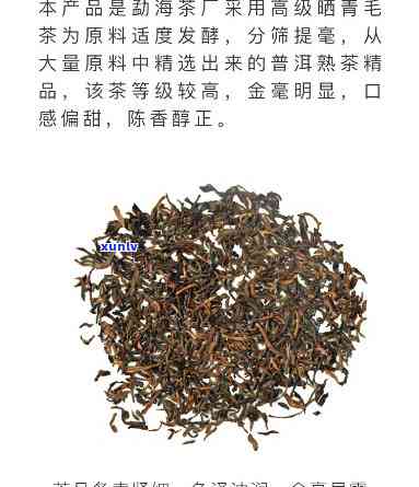 禧经典茶是什么茶种，探秘宫廷文化：禧经典茶的神秘品种