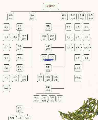 禧经典茶：究竟由何种茶叶制成？