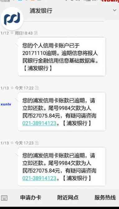 鑫瑞珠宝翡翠手镯：精心打造的高品质选择