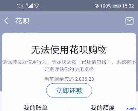 几年没还花呗会怎么样？作用采用吗？