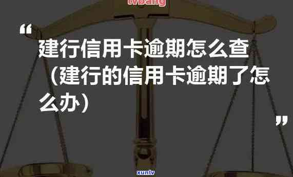 中御元益生茶怎么喝，如何正确饮用中御元益生茶？一份详细的指南