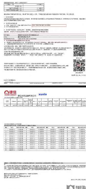 捷信5个月未还款结果严重：逾期记录作用信用，可能面临诉讼