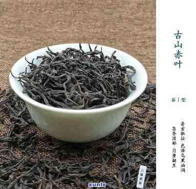 古山赤叶单丛茶价格，探寻珍贵口感：古山赤叶单丛茶的价格解析