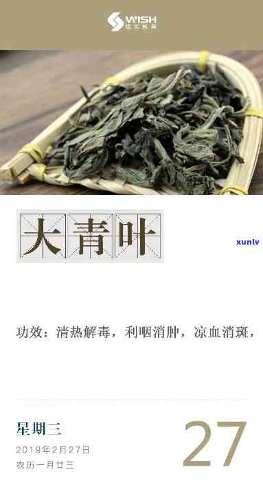 东大青叶是什么茶叶品种，东大青叶：一种独特的茶叶品种