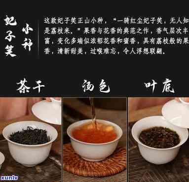 妃子笑野茶是什么茶-妃子笑野茶价格