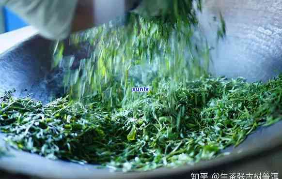 古法制茶属于什么茶类，探秘古法制茶：属于何种茶类？