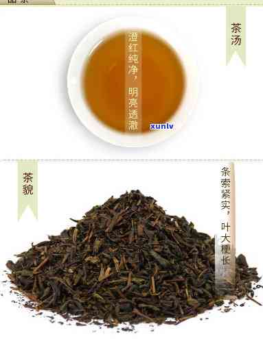 老干烘茶：什么茶的升级版？功效与作用解析