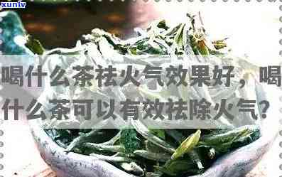 小金芽茶：种类、品种与分类全解