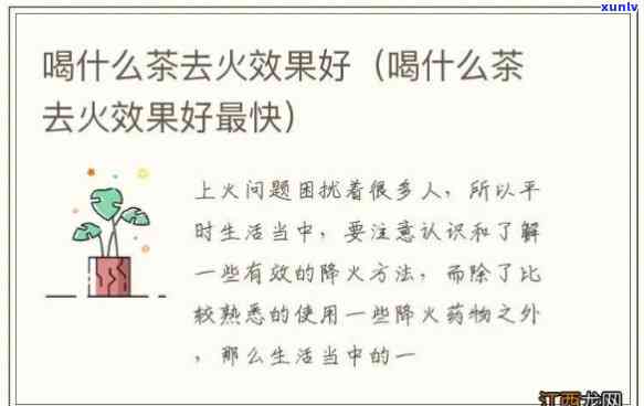 冬天喝什么茶好去火-冬天喝什么茶好去火效果