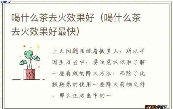 火气旺喝什么茶去火-火气旺喝什么茶去火效果好