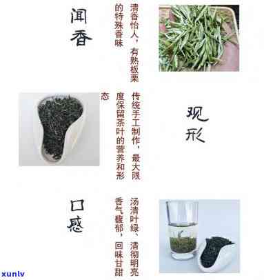 恩富硒茶是什么茶种，「科普」恩富硒茶属于什么茶种？它有哪些独特的品质特征？