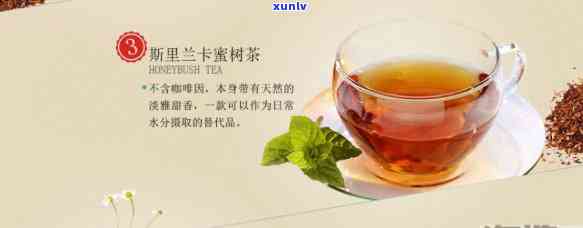 南非国宝茶是什么茶种？详解其种类与特点