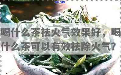 什么茶养胃又去火？效果、最全面的选择！