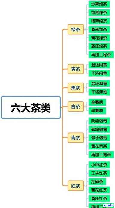 满园茶业属于什么茶类？详解其所属茶类、类型及特点