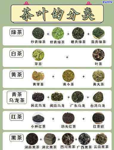 三坑两涧分别产出优质茶叶，你不可错过的茶叶种类！