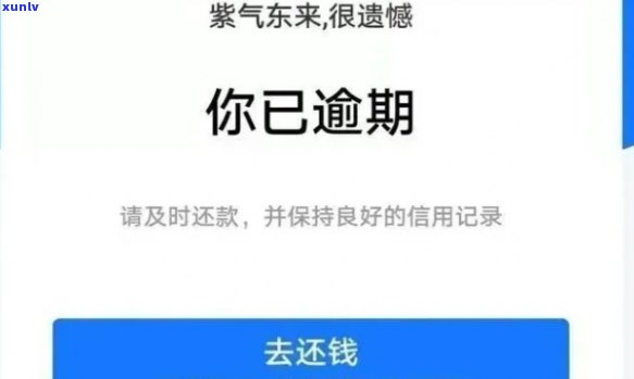 借呗逾期能否申请停息？怎样操作？还款需要留意什么？