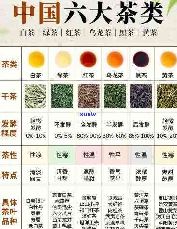 喝什么茶对身体健？科学解析茶叶的功效与作用