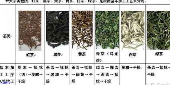 大官茶属于什么茶种类？探讨其所属类别与特点