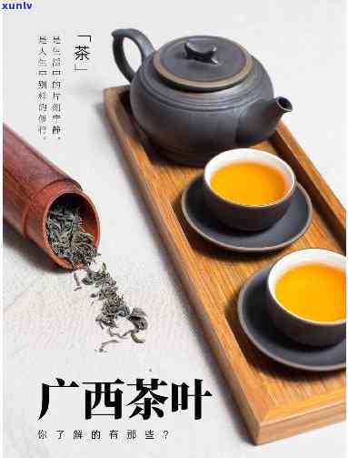 西林有什么茶叶，探索西林的茶文化：了解当地的特色茶叶种类