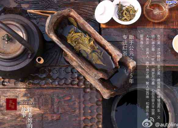 西林有什么茶叶出名，探秘西林：哪些茶叶值得一尝？