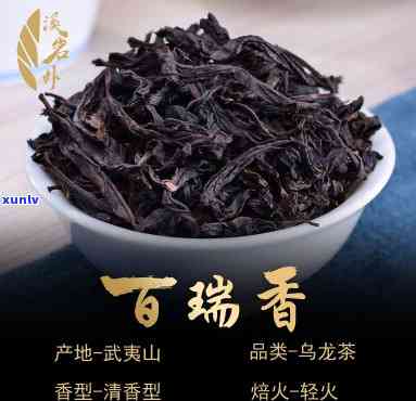 百瑞香茶属于什么茶种，揭秘茶叶种类：了解百瑞香茶的归属