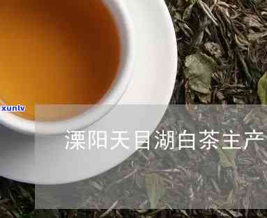 溧阳天目湖茶叶到哪里买，寻找溧阳天目湖茶叶购买地？这里有答案！