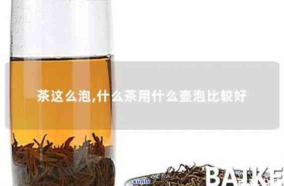 汉方壶适合泡什么茶叶，探究汉方壶的茶叶搭配：最适合泡什么茶？