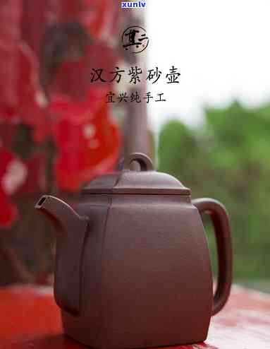 汉方壶适合泡什么茶-汉方壶适合泡什么茶喝