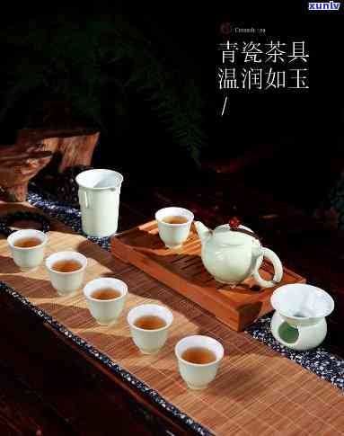 青瓷壶适合泡什么茶？探讨其最适合冲泡的茶叶品种