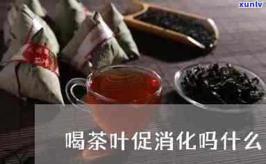 什么茶最帮助消化，解惑：什么茶对消化最有帮助？