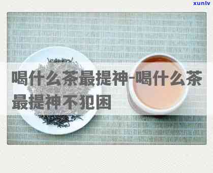 天喝什么茶不犯困-天喝什么茶不犯困还减肥