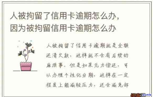 进了拘留所信用卡逾期了怎么办？解决方案全解析