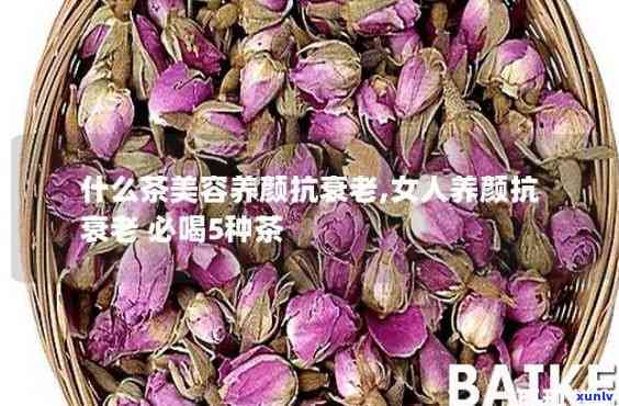 喝什么茶可以抗衰老养颜？探究有效护肤饮品