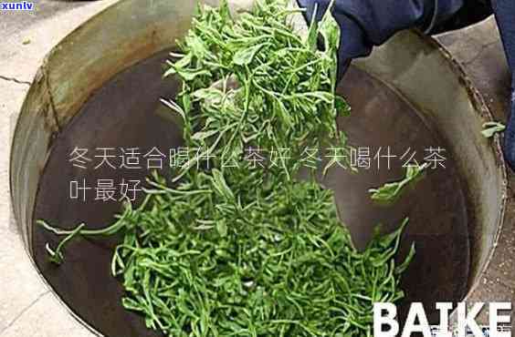 喝什么茶冬天不怕冷又好喝？推荐几种适合冬饮用的茶叶！