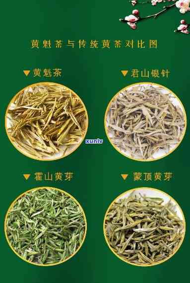 滁州春雪茶：绿茶、红茶还是黄茶？它属于哪一类？