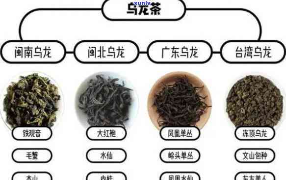 海南青茶：品种、功效及百科全解