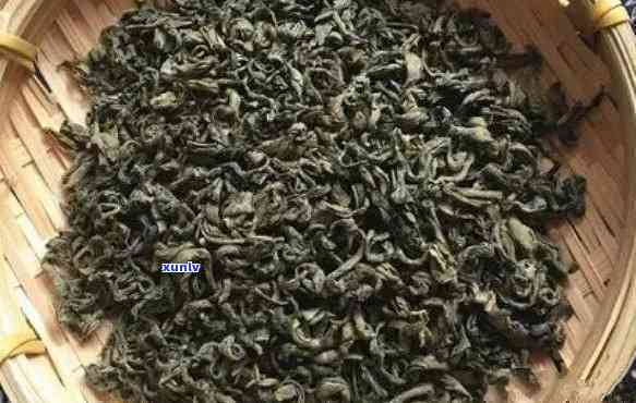 东炒茶属于什么茶种，揭秘东炒茶：它属于哪种茶种？