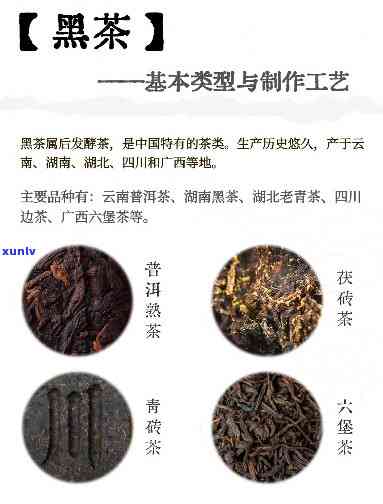 二级黑毛茶：类型与类别全解析