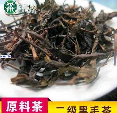 二级黑毛茶是什么茶种，解密茶叶：二级黑毛茶的神秘面纱