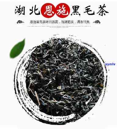 二级黑毛茶：好喝又健，价格多少？