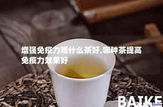 喝什么茶增强免疫力-喝什么茶增强免疫力